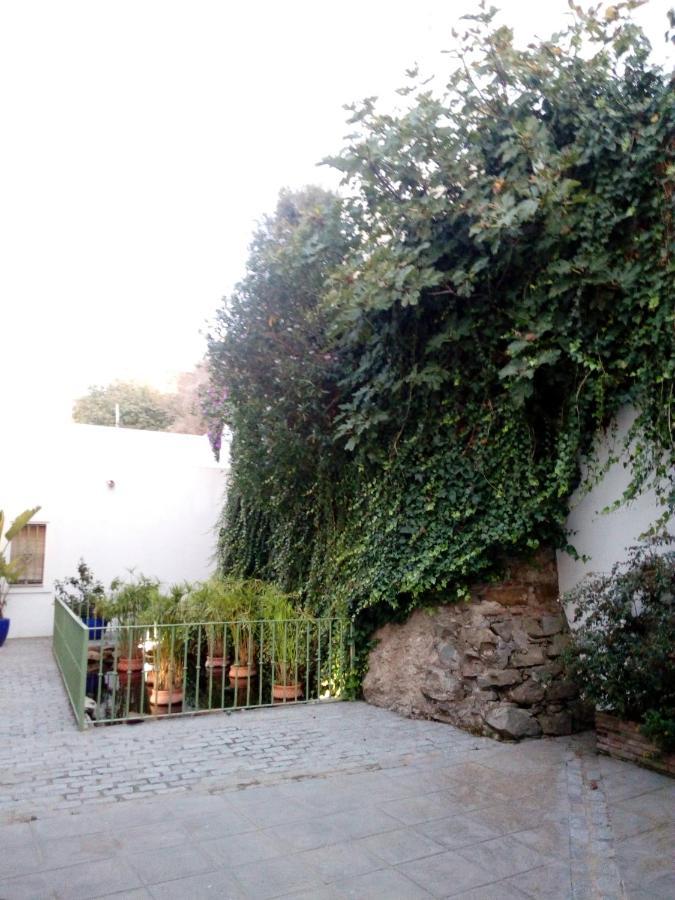 Gravina Comfort Tarifa Bagian luar foto