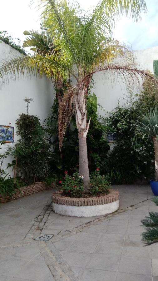 Gravina Comfort Tarifa Bagian luar foto
