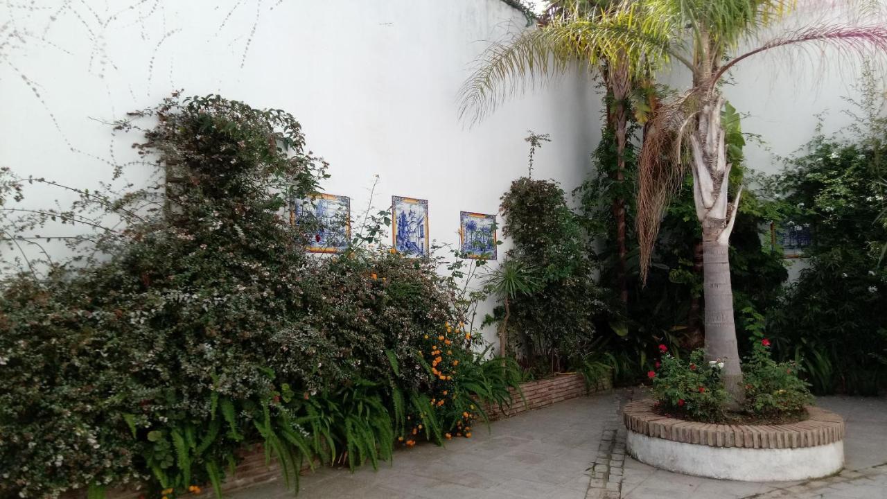 Gravina Comfort Tarifa Bagian luar foto